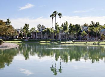 Beautiful lake view